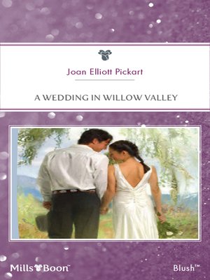 cover image of A Wedding In Willow Valley